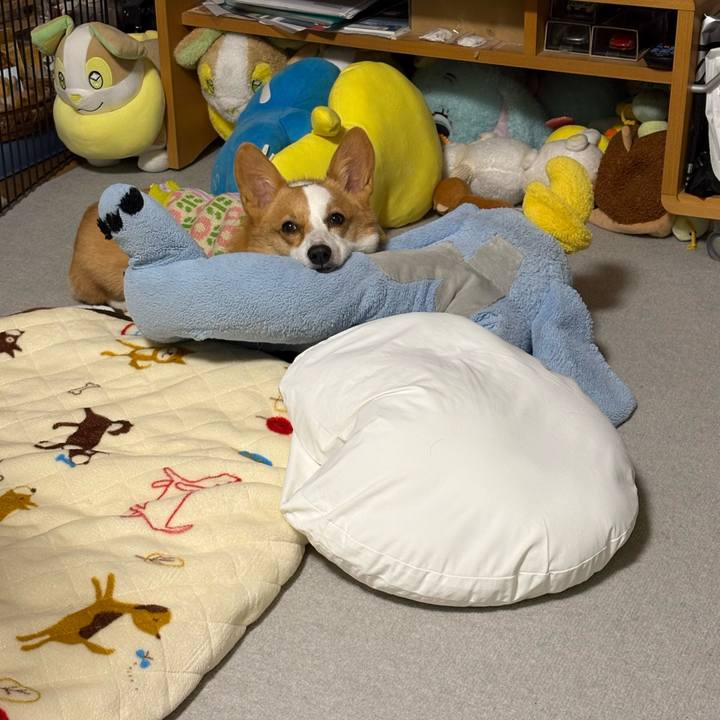 072dd1d7 e509 4cb1 af5f e0bd209cfd46 1769357318828