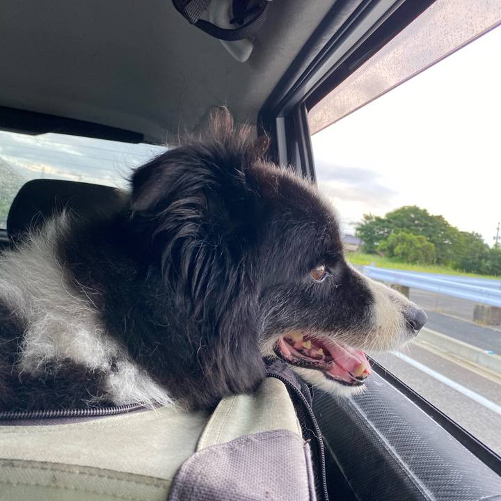 072dd263 868d 4d4e be31 ca402fd5c2a8 1693430858310