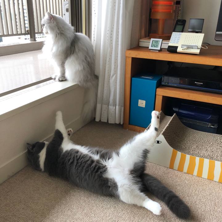 072de538 e3e7 42d9 9571 786406f4c6a5 1538261390253