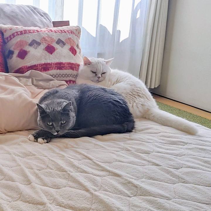 072de662 5a7e 4c6f 9b8c bdad186bd82a 1739270124339