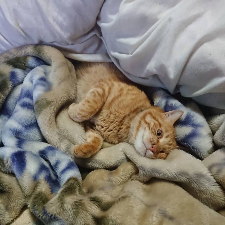 072e0982 91b4 497f ad79 fcc20e35b14c 1654121345323