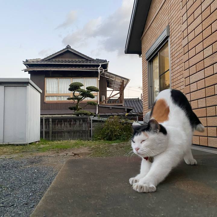 072e26d4 f54c 497e 9415 d286d1bcc4ee 1639087833377