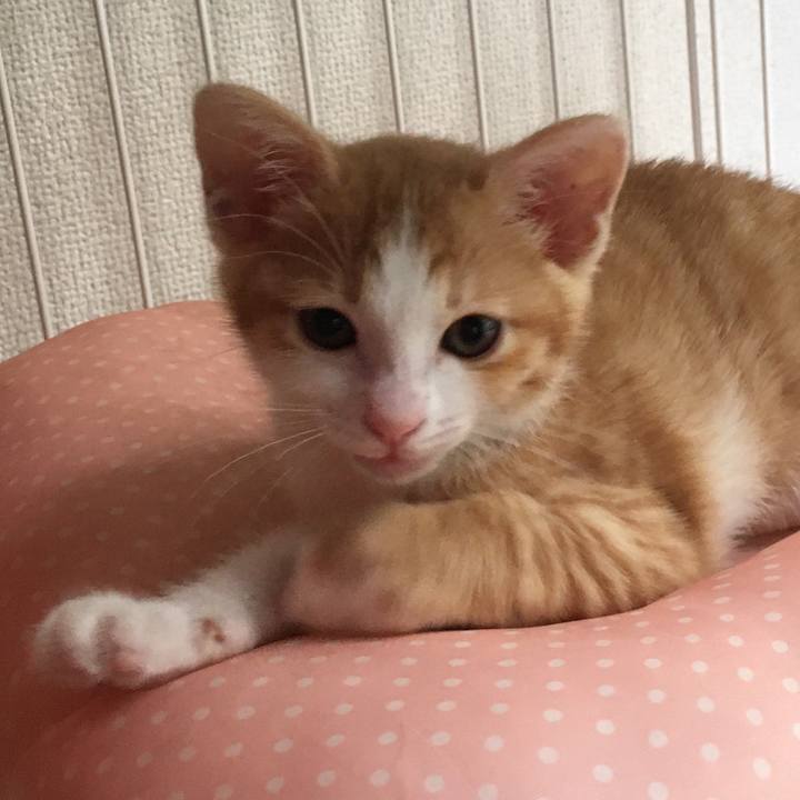 072e7a41 b7b8 45d4 bdf4 8ecbcd8a6df8 1629985899085