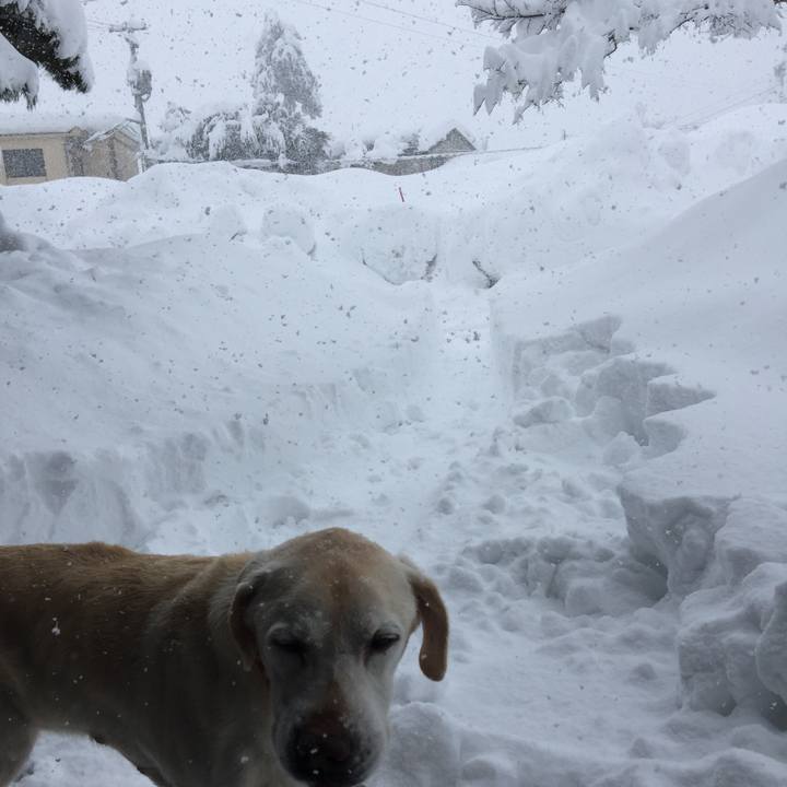 072e9d55 9c26 4f3a b7e4 00675698a475 1578895085876