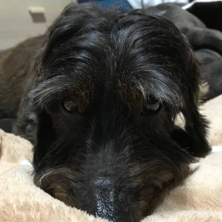 072ea785 9a77 4864 84c6 bfe11ecff9f0 1545400737873