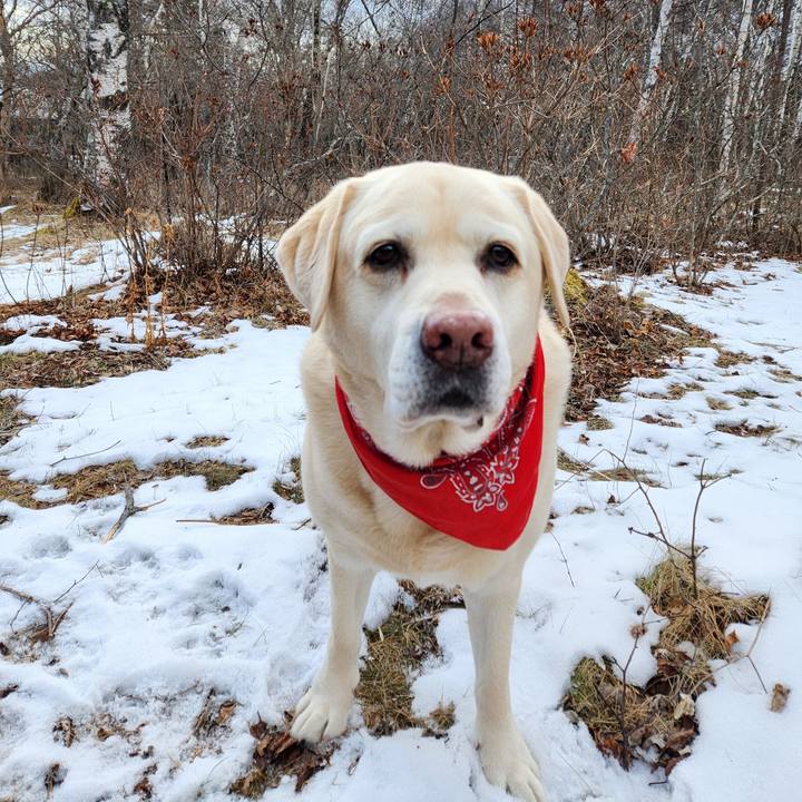 072ef325 8248 4185 894c 152c26736f6a 1767606500358