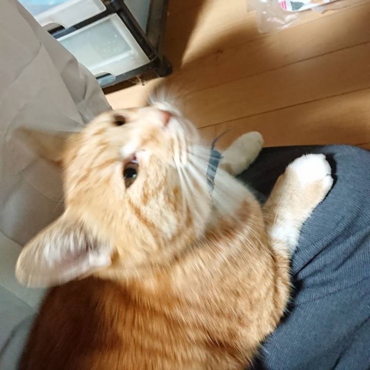 072f00ad 68fc 4778 8a9c 17729841e06c 1602061406663