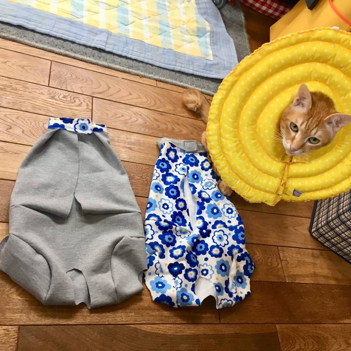 072f1128 cff0 4173 8f4d 7c66ef4d97d9 1527403177322