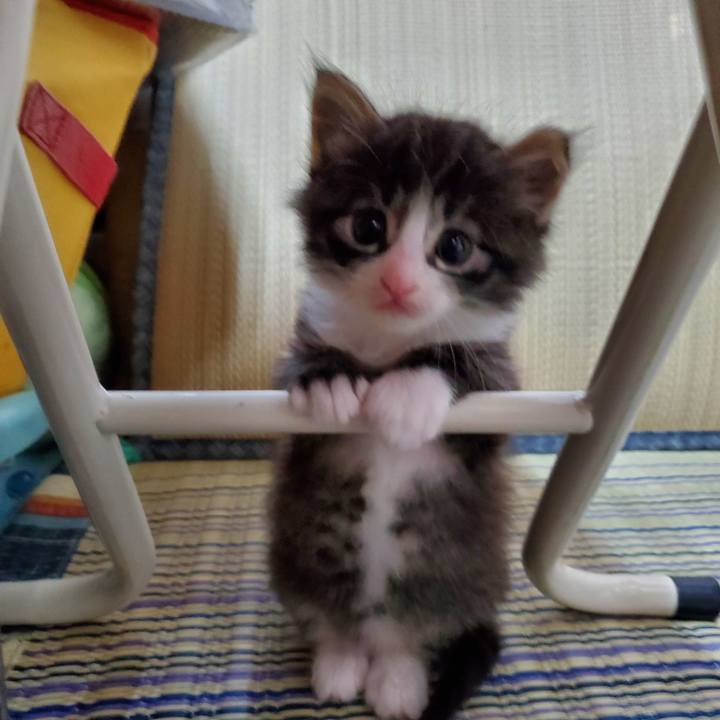 072f367c 159a 4cac b6a0 b665cb08e434 1624330066545