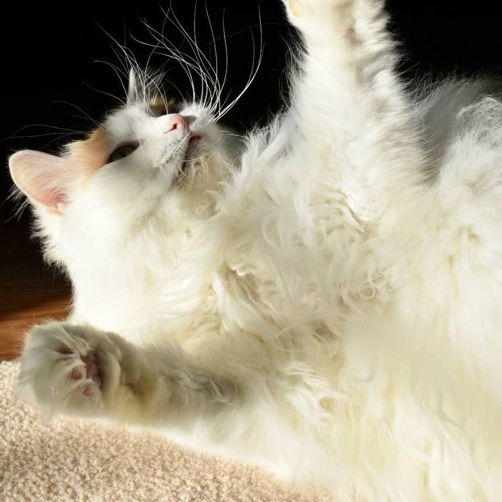 072f52bb 47c2 4ae8 95ec dcefeaeed5fc 1772595714544