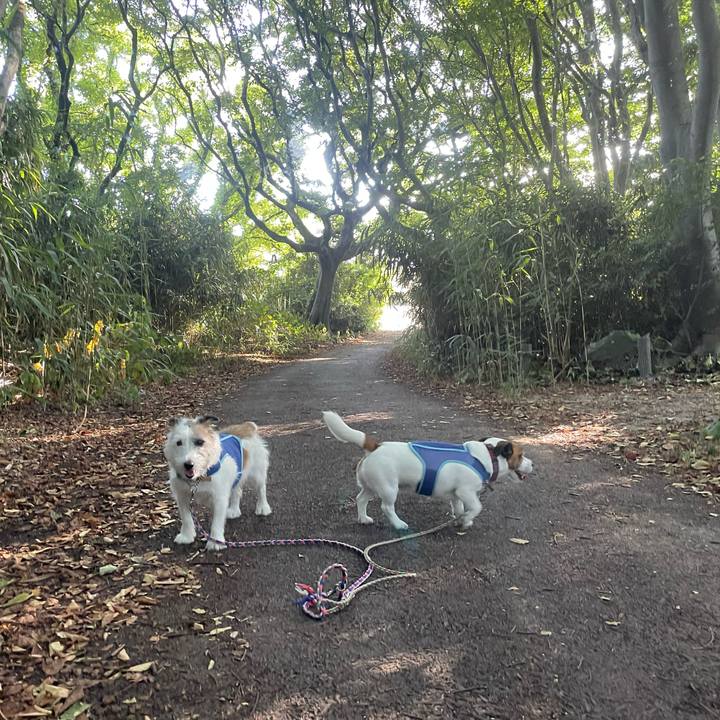 072f5695 5114 4b74 8b59 cf7e0d5b3ff2 1754090090175