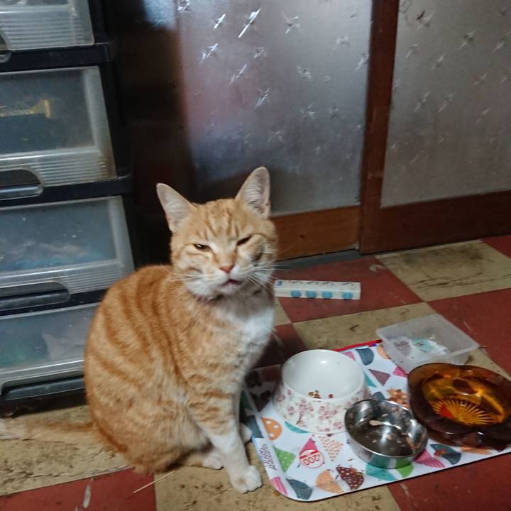 072f6a40 4dad 45fe 85eb 048ab9933a1f 1588064630093