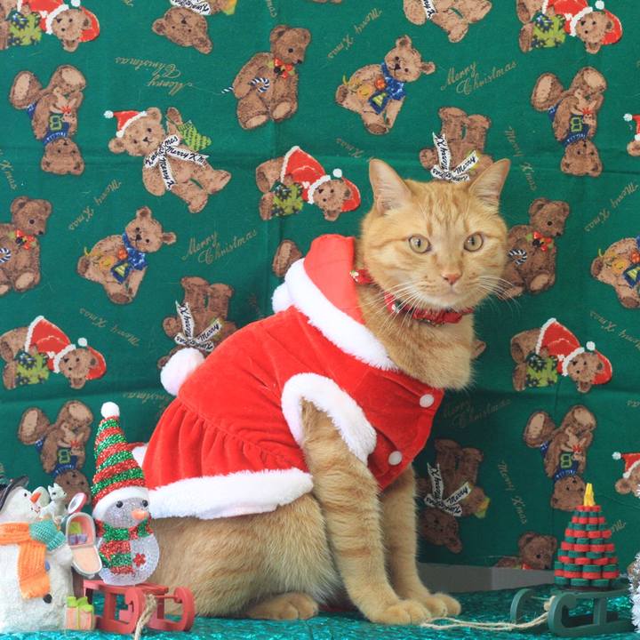 072f72d9 0450 48e4 b104 27a70325cde6 1671358002168