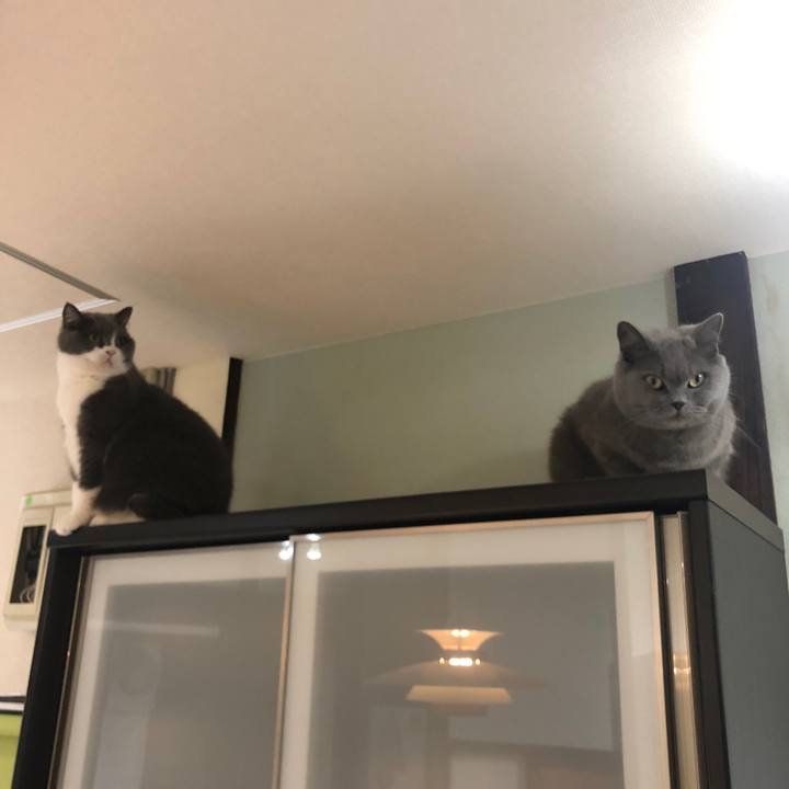 072fca54 db42 46ea 93bd 09454ea7dd85 1605876575861