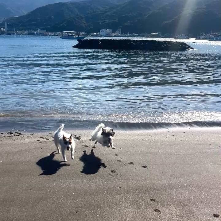 072fd8e6 266c 4d06 bb37 bd14ca2d45c7 1762272420116