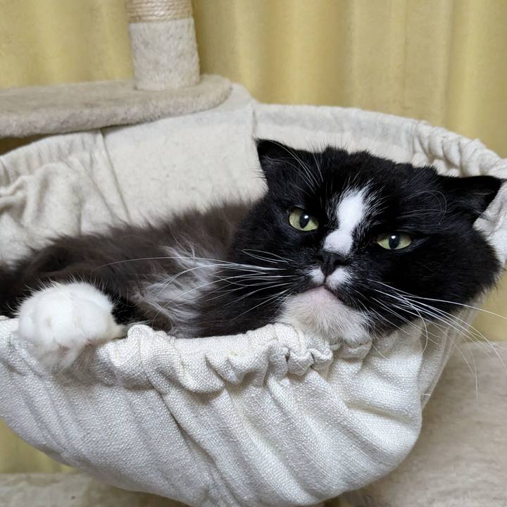 07301082 bccf 42fc 812e 5cfedec7f8b4 1728210300789