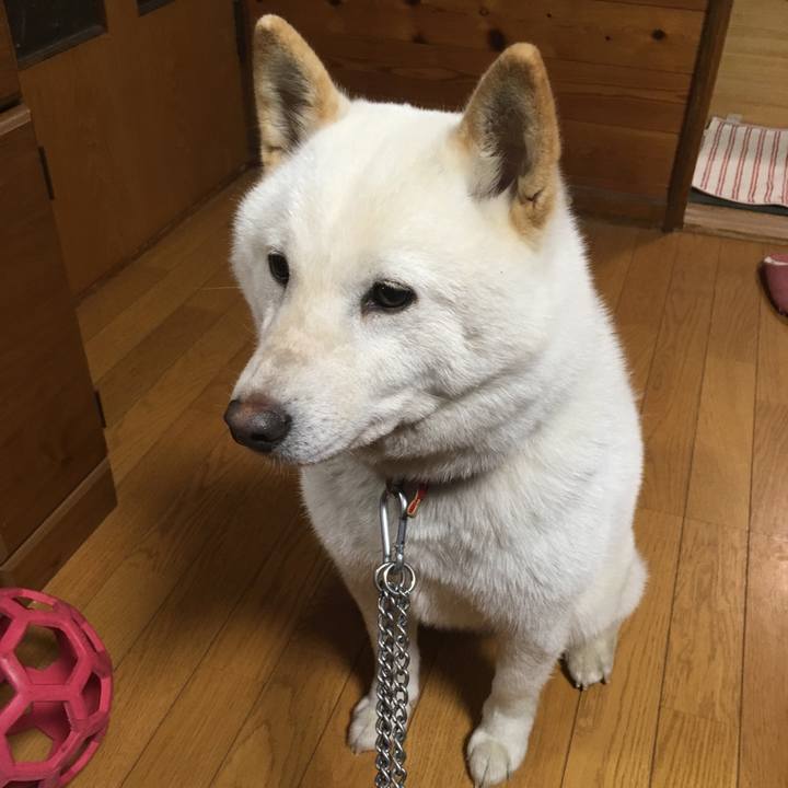 0730250d a0f7 4879 8bed e4042b14ca43 1532244716477