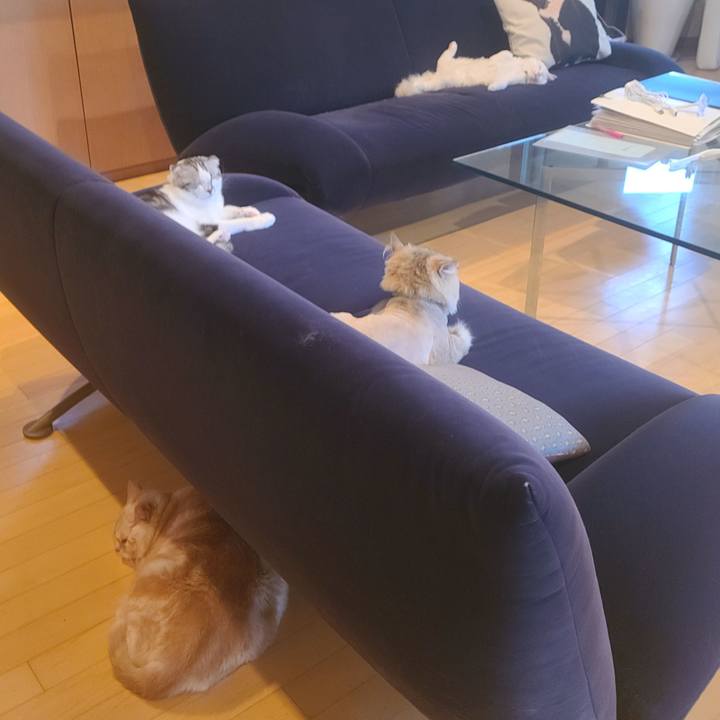 07302700 cead 45eb bf28 a0aa5246b1e0 1657874154777