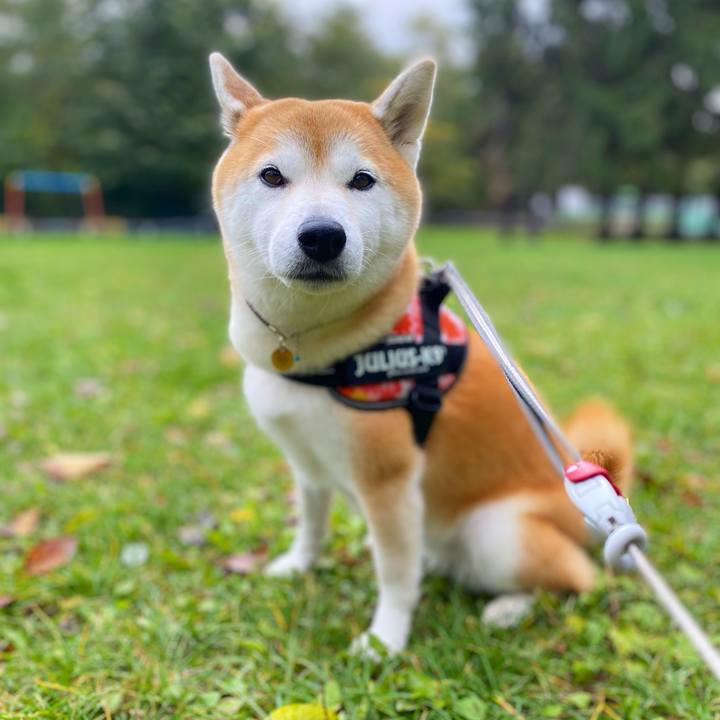 07302908 d1cd 4241 89d1 0fd4928c3588 1634778667506