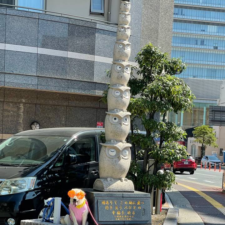 07303ad7 e6e1 4fa2 8dbe e47baae984e4 1633522979750