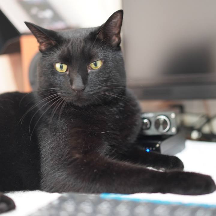 07308008 39be 419b a9e9 f1fa577c4340 1626792554999