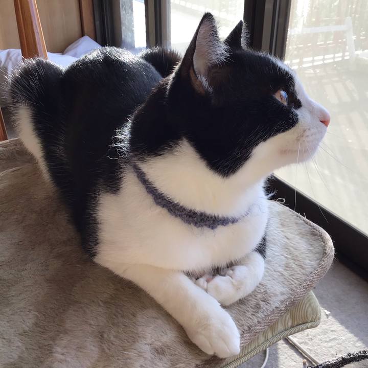 0730e11a 7d04 479e 9397 a1bf0316f6d3 1667093518999