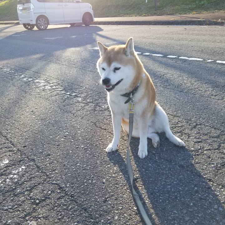 0731422e bf08 4860 a5ab 3f781bbf6a81 1636180596835