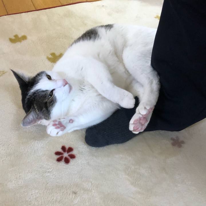 07316652 a062 4fba 8fa4 c15d22597b90 1667692239311