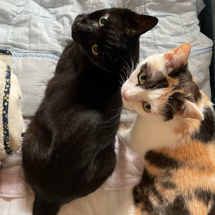 07316874 22e0 4c46 aa12 1ccf458b1daa 1656901113899