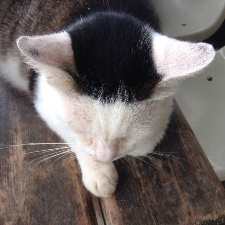 07317f90 263a 4f39 bf34 b56efc500606 1531399326343