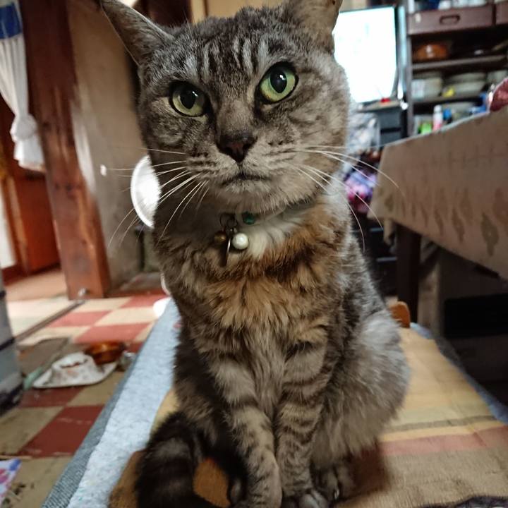 07318a81 ccd3 4d3f af2e f562018f2a02 1568670541819