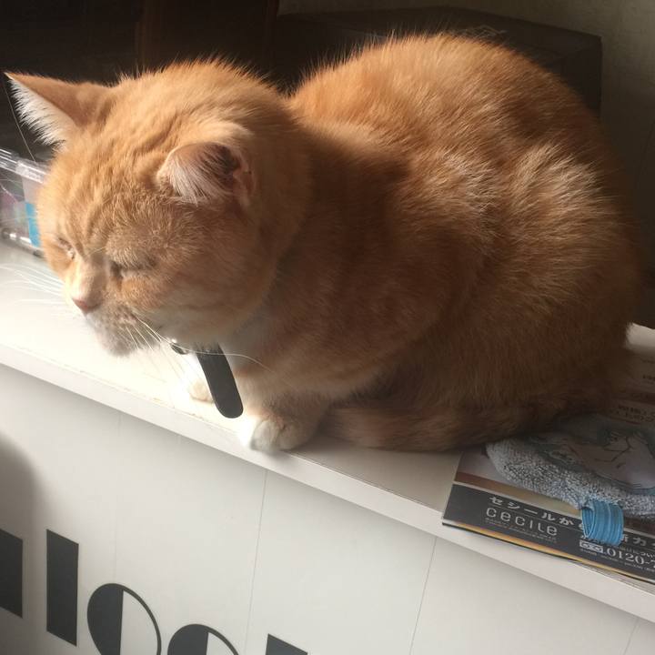 07318d21 333d 4bf6 a92a ebfcee3ad980 1550025487362