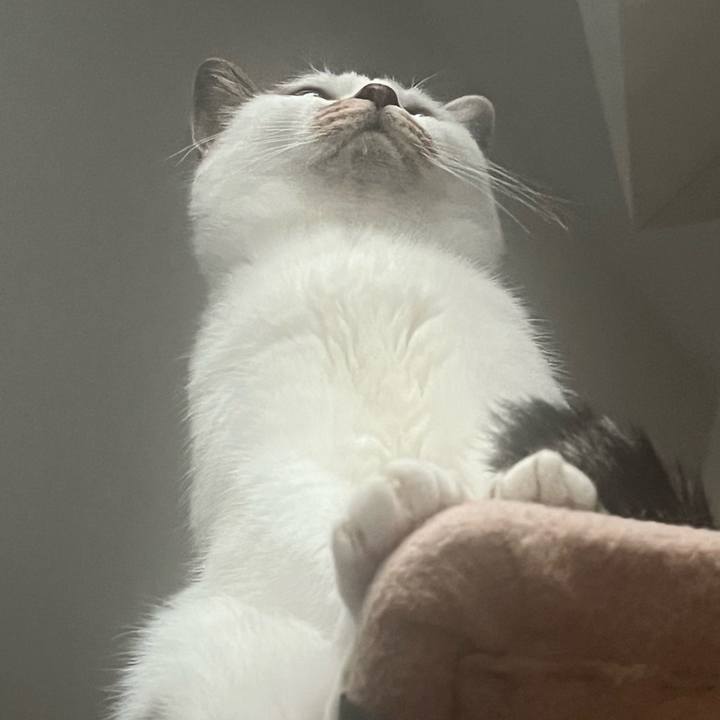 0731b732 b377 4cea a286 39ea4f55ee4c 1732026241735