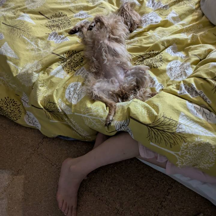 0731cb39 8940 4bfc be52 793cb9f1cb03 1720219056850