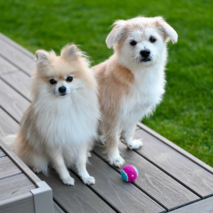 0731db66 b046 4e7a aee3 9db3e634629e 1761168837046