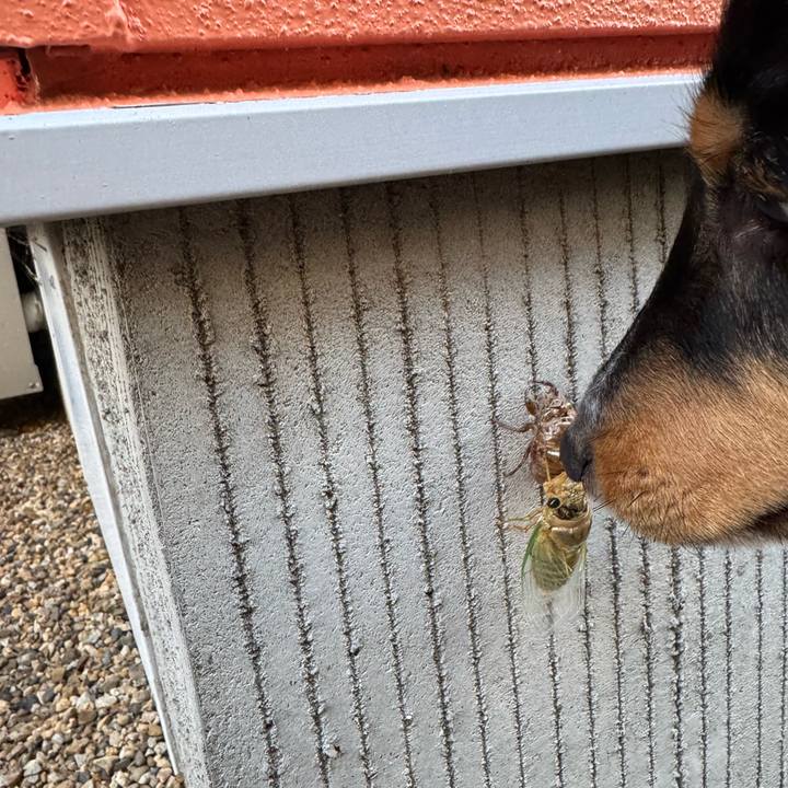 0731eaf6 8701 4cbc 935d 8f1ab96995f9 1752440996534