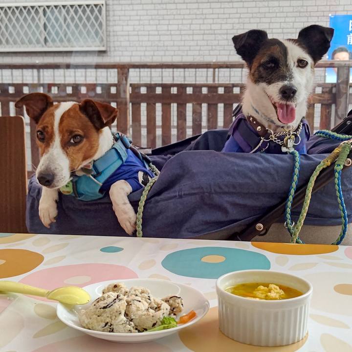 0732040a 304d 4625 ad4b 39a45673d07f 1656823210483