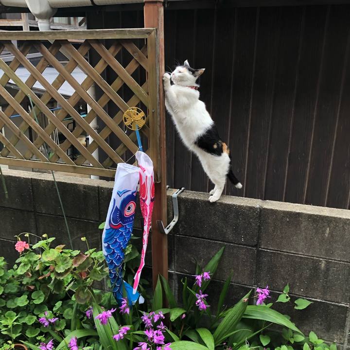 07321e60 8357 4652 8b56 a92df3aa4f23 1651702567692