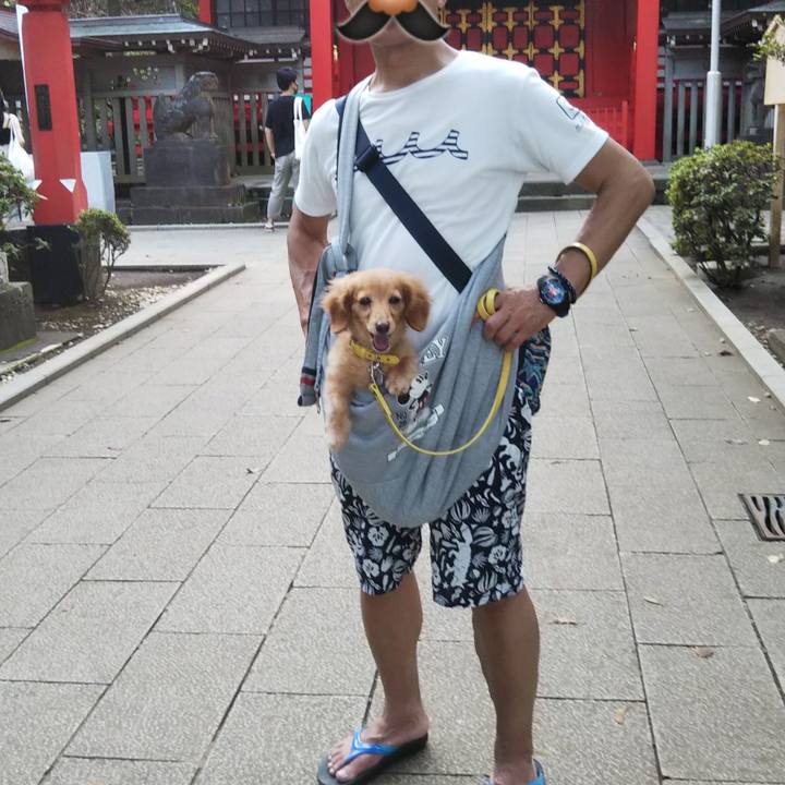 073249f7 c232 40c2 934e 932782ea6b68 1599554436675