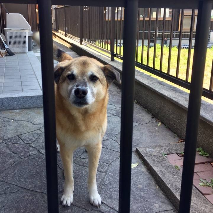 0732679f 7735 4d0e 88d6 d869f00bc942 1558693923926