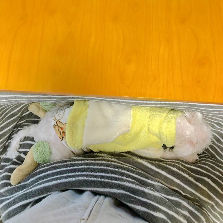 0732686c 3df0 41ad 90fd e5ed07e39425 1550872133612