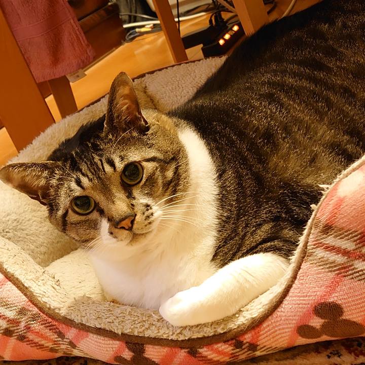 07326902 3996 4e88 9741 344a52d52d57 1610410670535