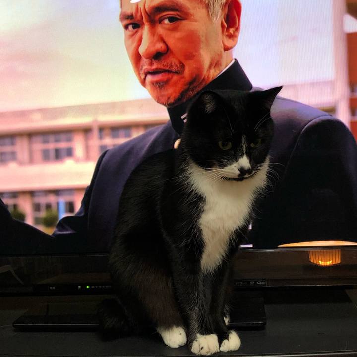 07328965 4c49 4643 a6d4 567a1999373f 1608438178123