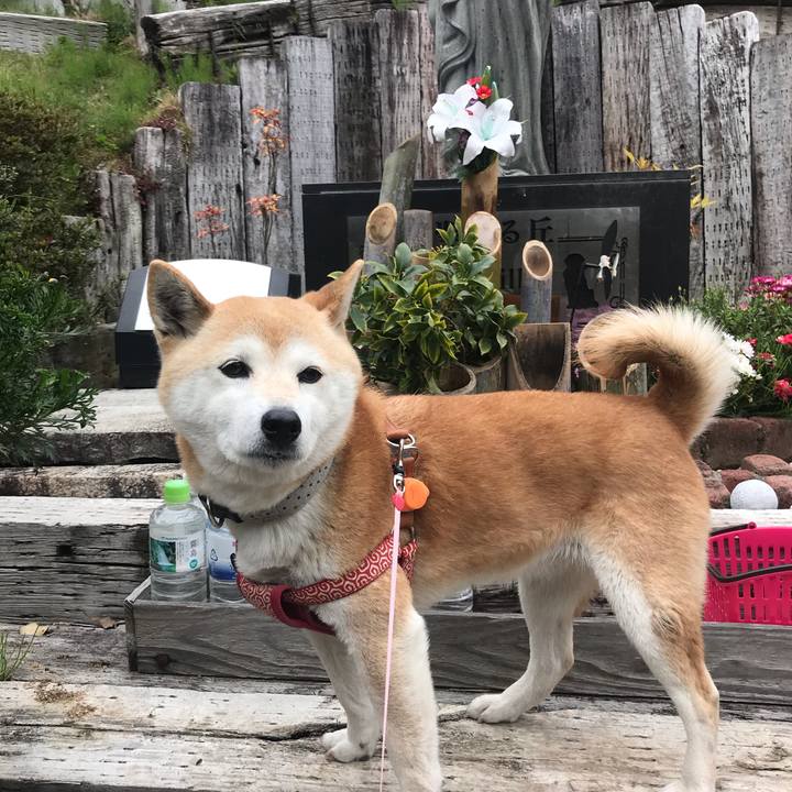 073299ca a298 43ef 966e 35c59040f61a 1586693503258