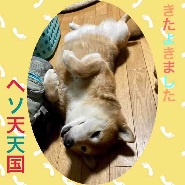 0732ed21 75e5 48e6 b795 44a56e3e79d1 1656161781579