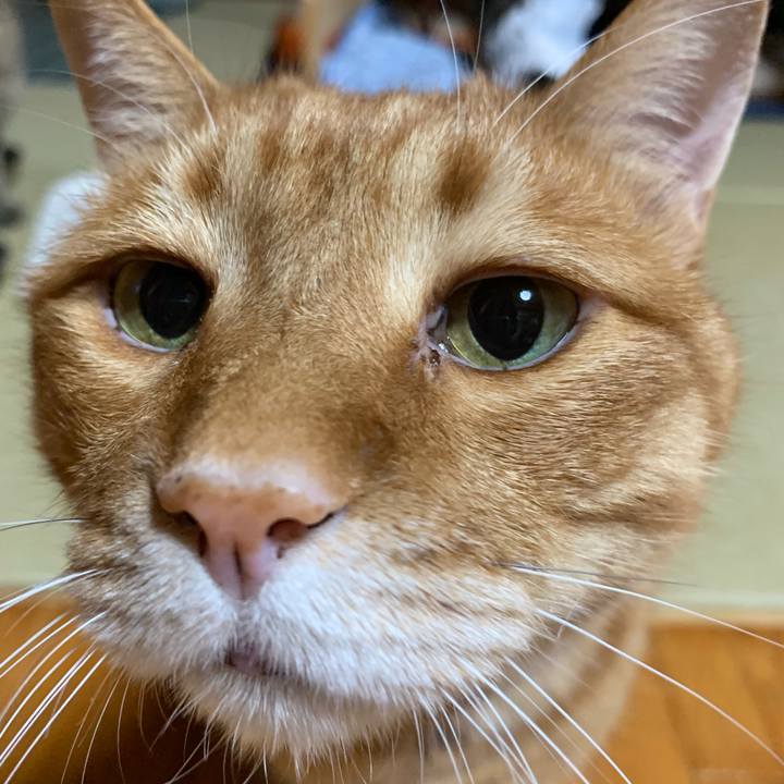 07333bff b573 44ec 9997 06e8b3faaece 1559393220220