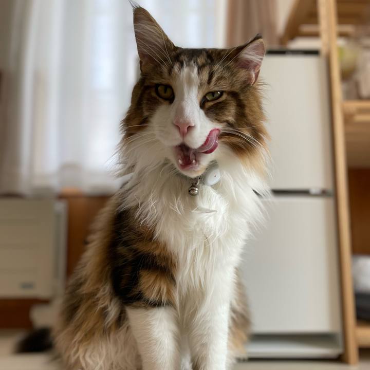 07335c59 1cde 4688 9ddf b2a573c062f7 1654926091356