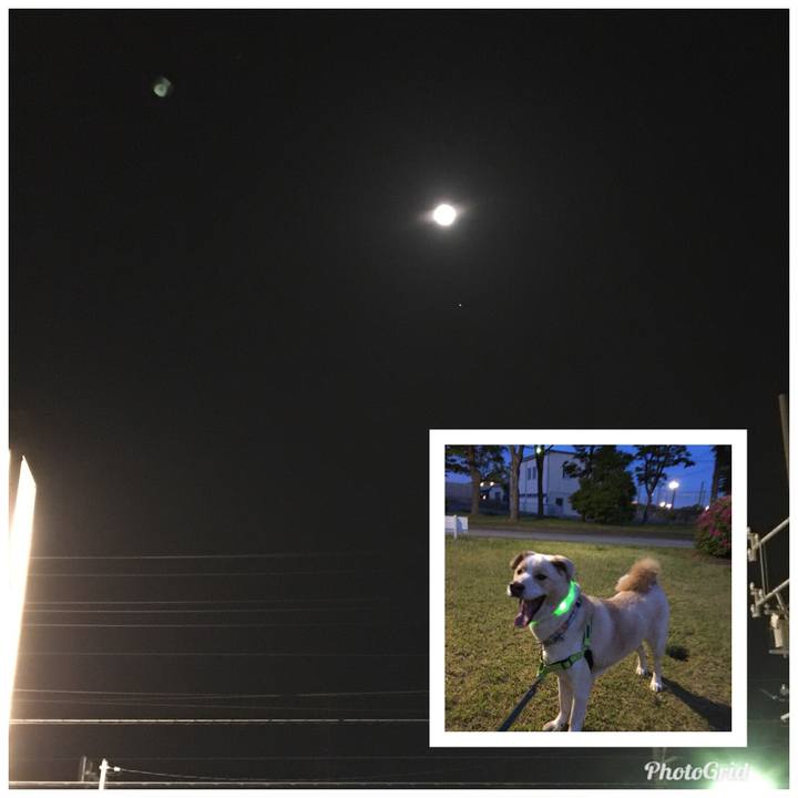 07336e51 7215 4c8c adbf db300fbbc004 1525232072853