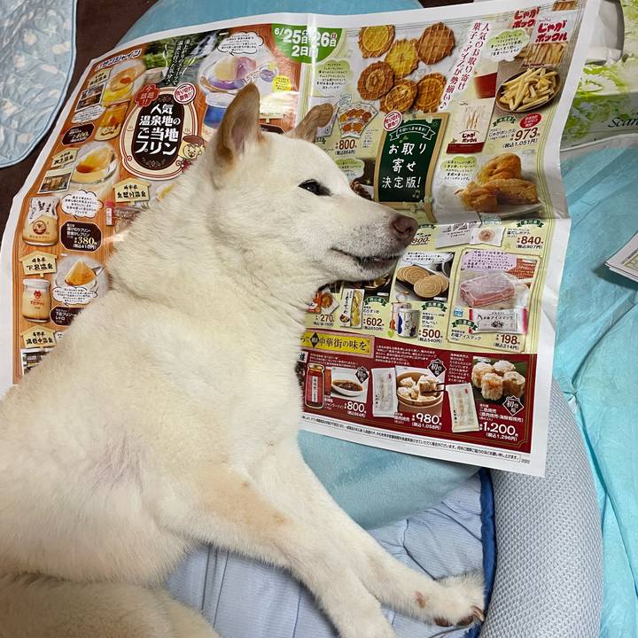 07337a56 df92 43e4 aec6 d0d1bc482556 1656161811526