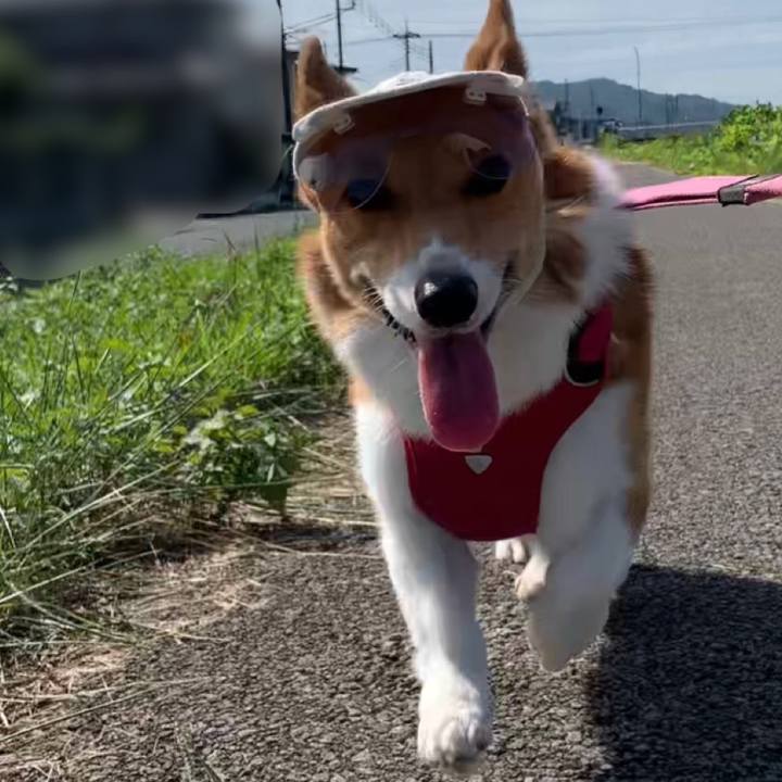 0733a83e 7f12 4e63 9fd7 b7493e84619d 1664415311648